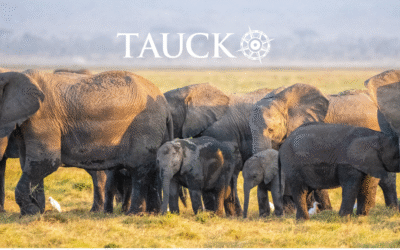 Travel the World with Tauck – Luxury Small Group Travel Made Easy
